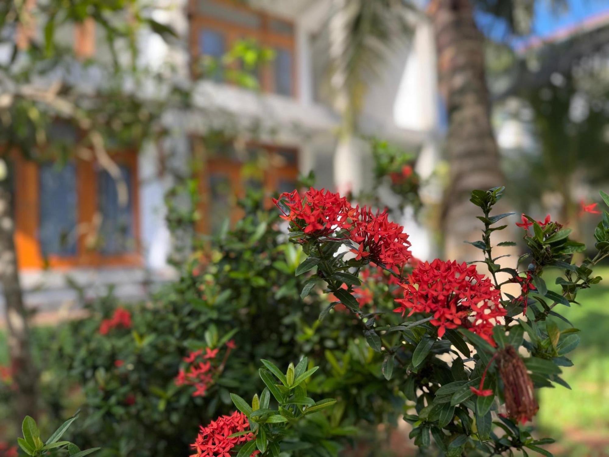 Hotel New Ocean Breeze Madiha Matara Exteriér fotografie